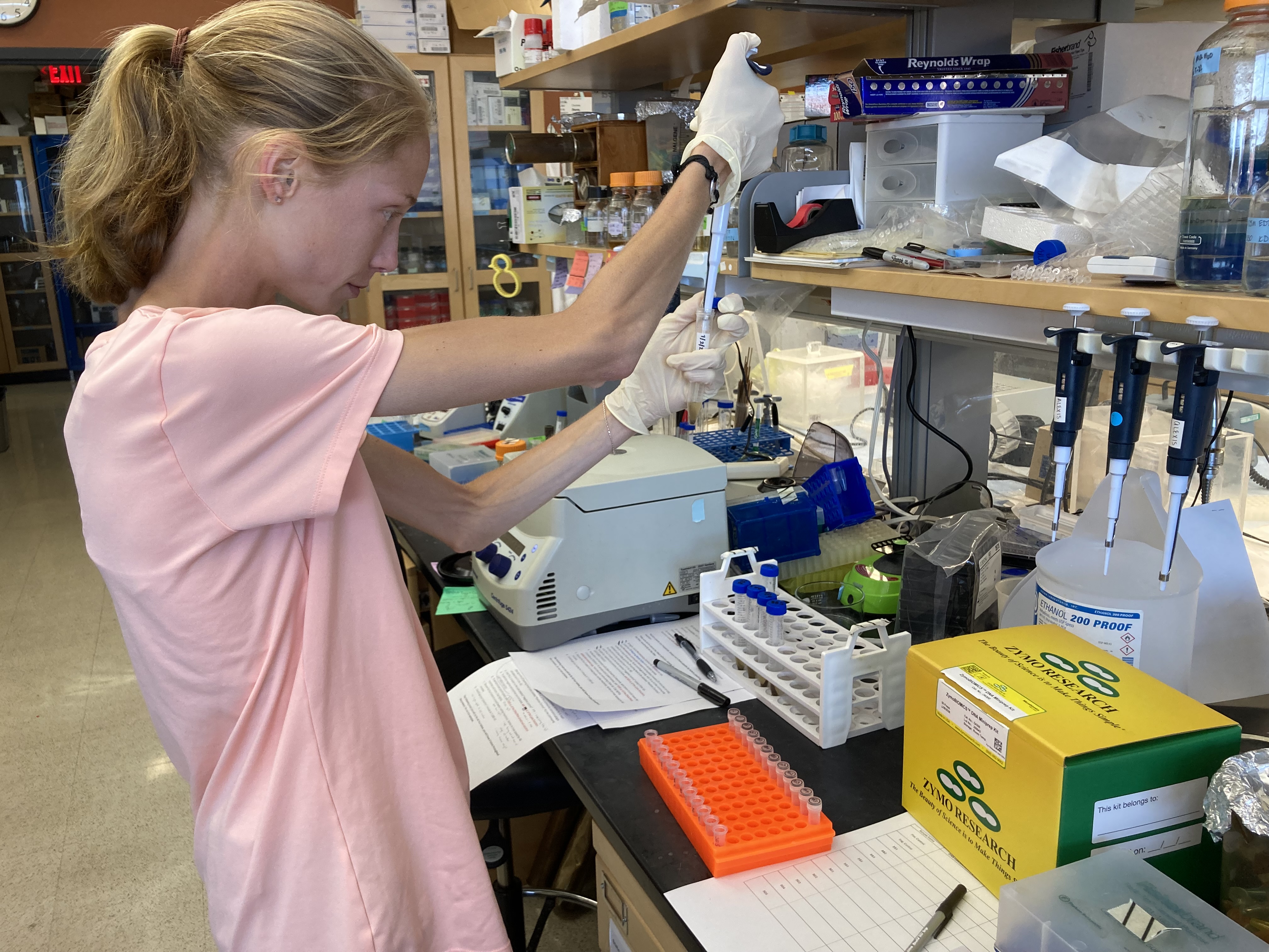 DNA Isolation Alaynah 1