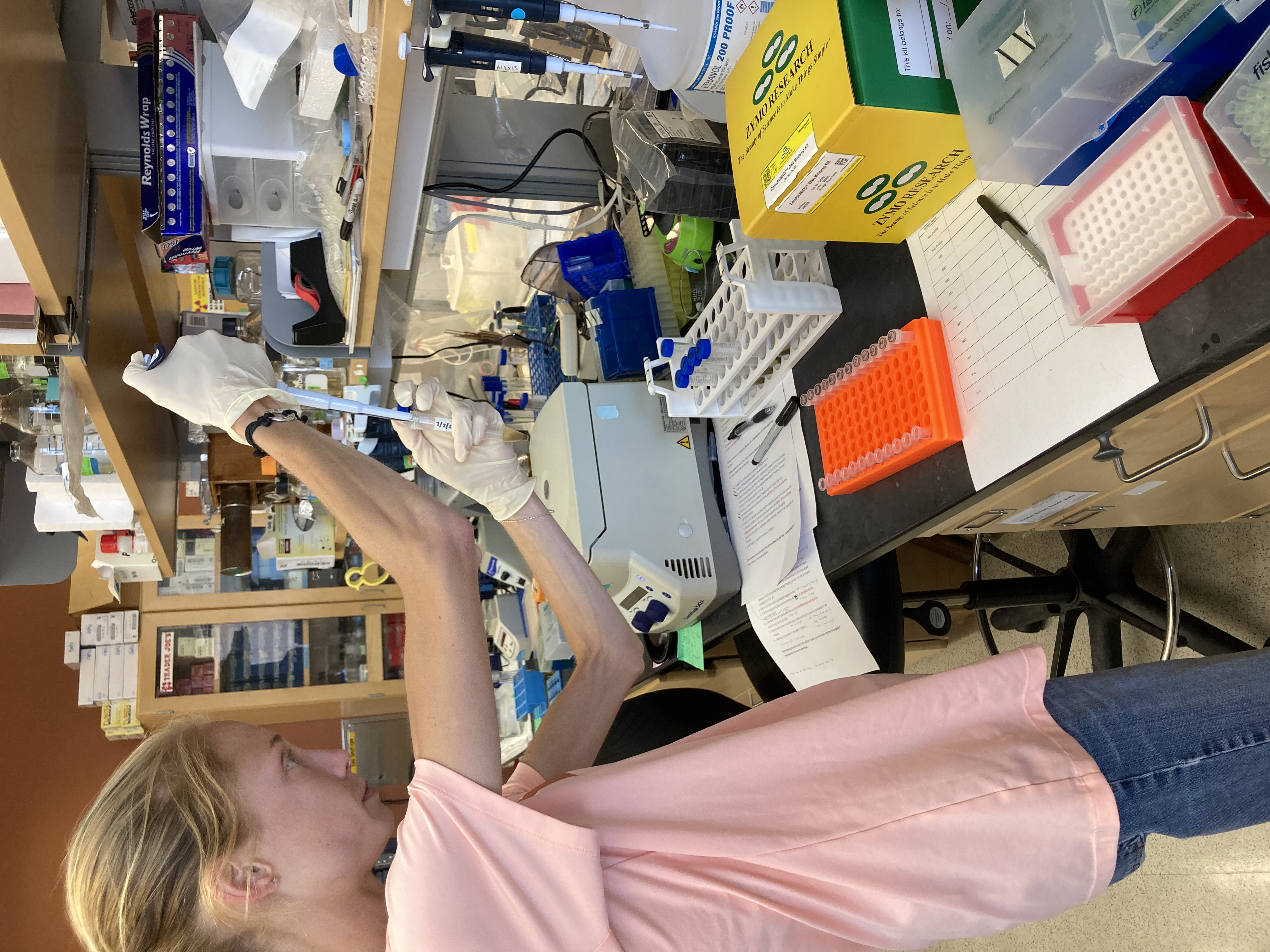 DNA Isolation Alaynah 2