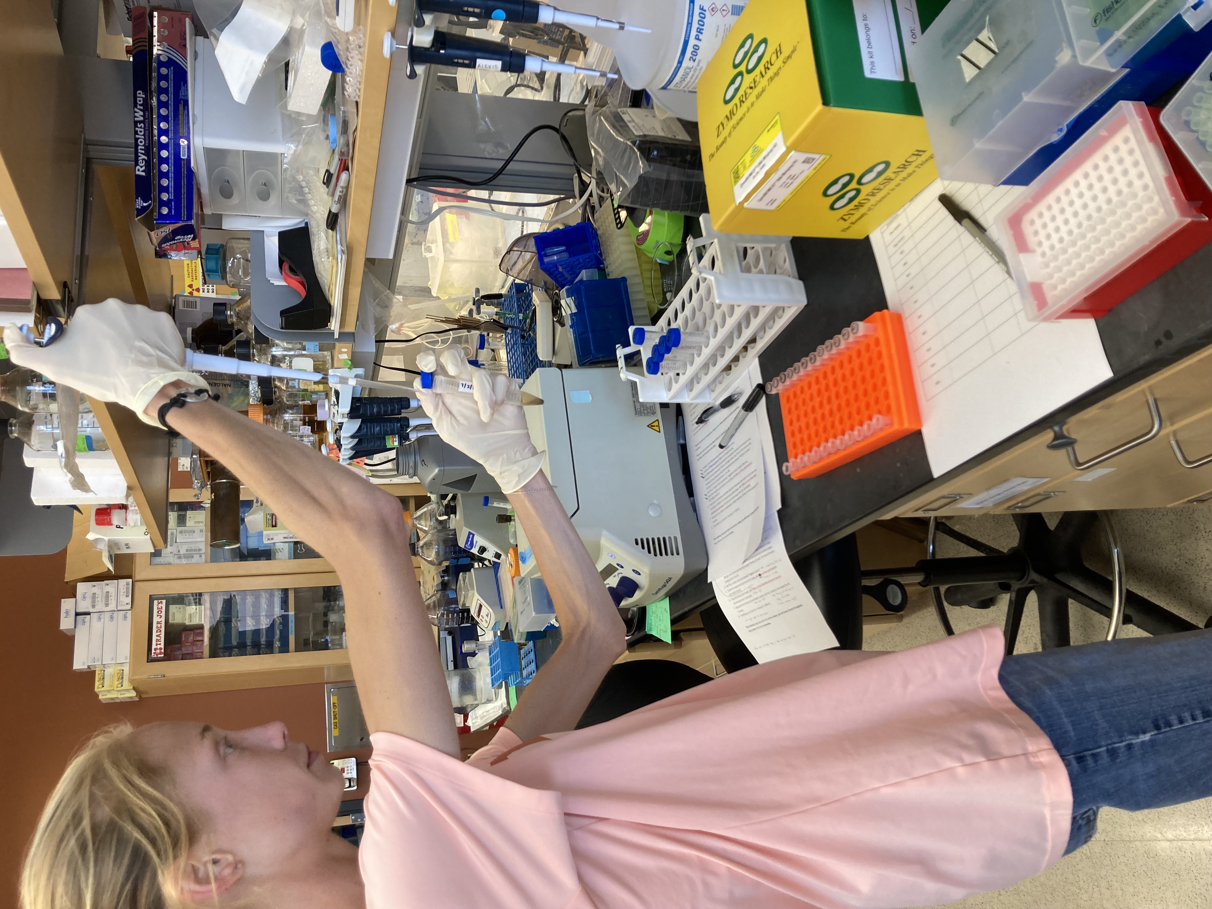DNA Isolation Alaynah 3
