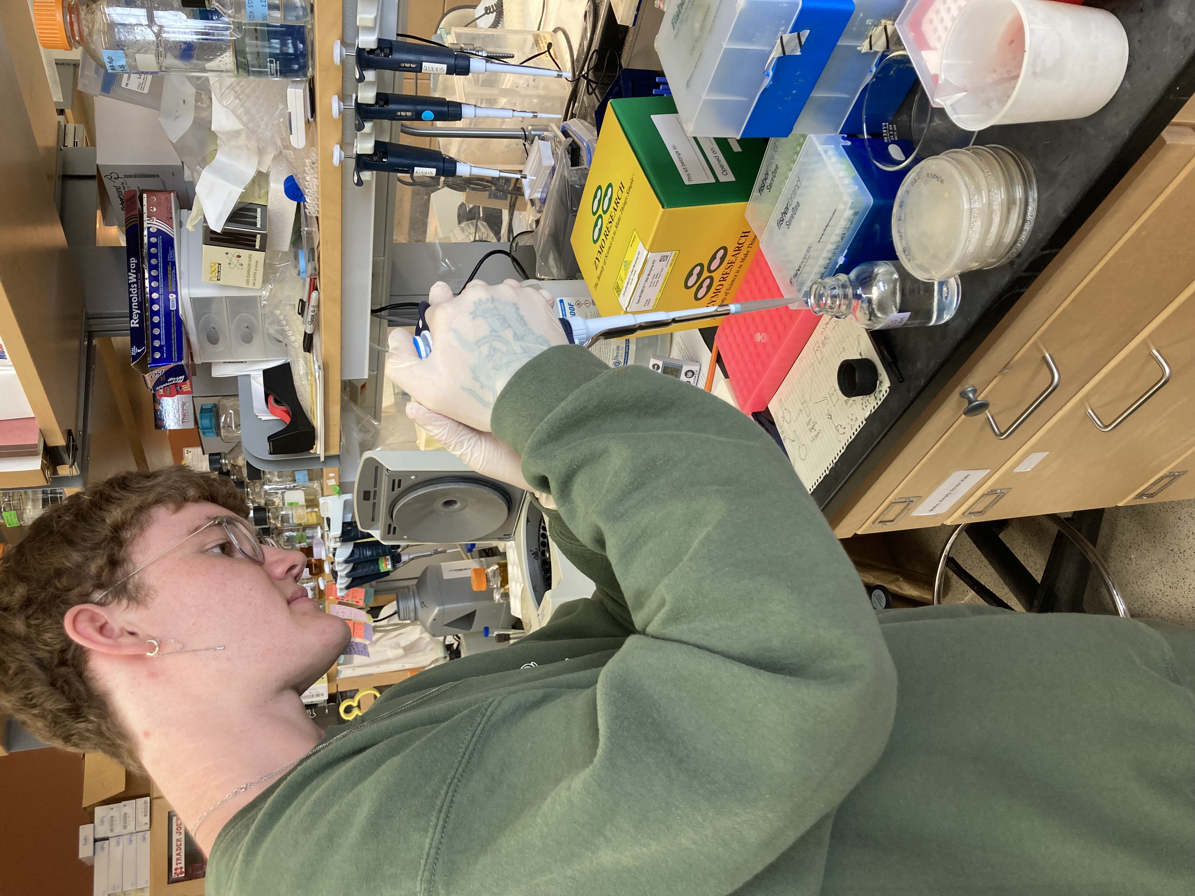 DNA Isolation Alex 3