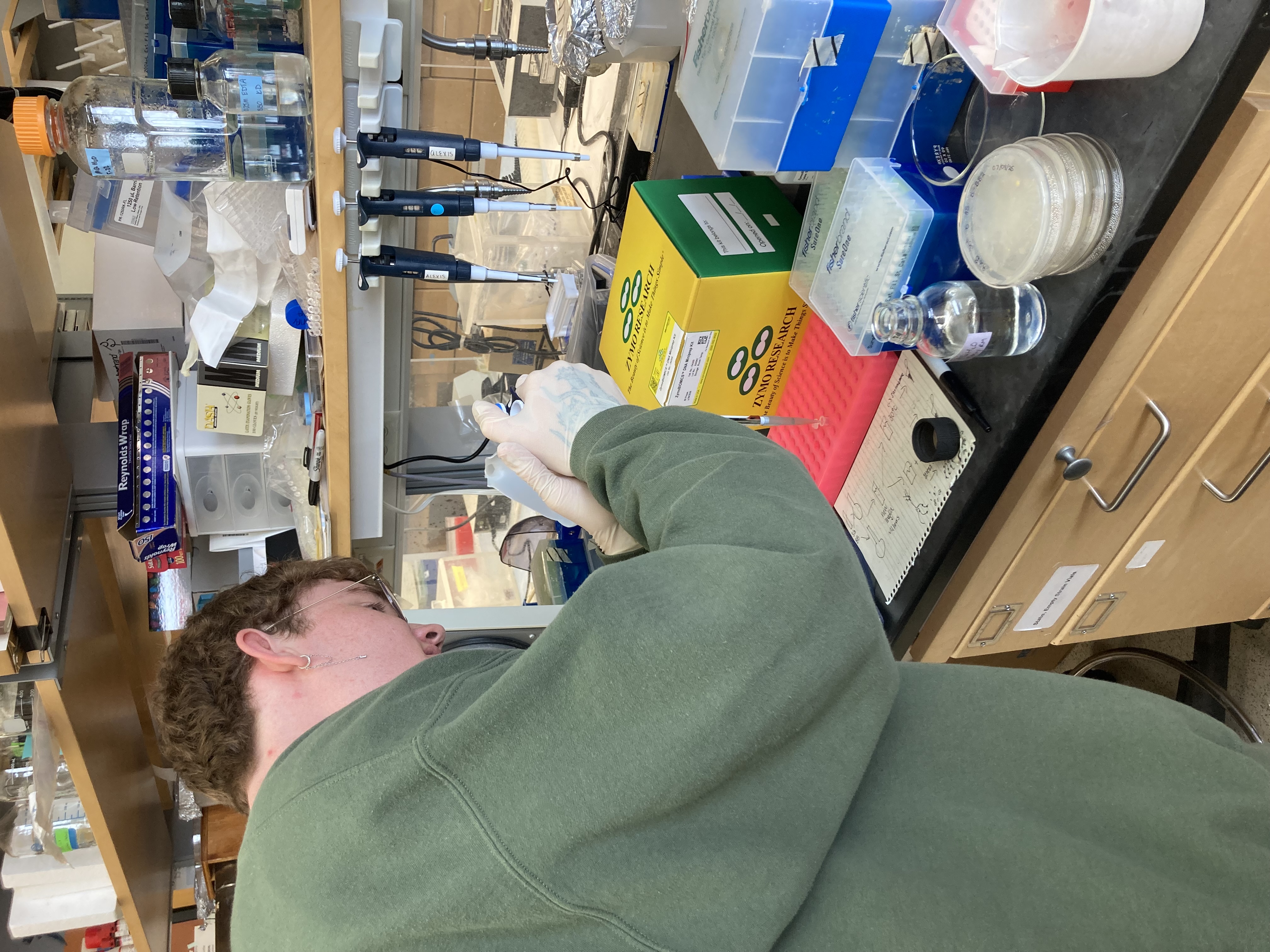DNA Isolation Alex 4