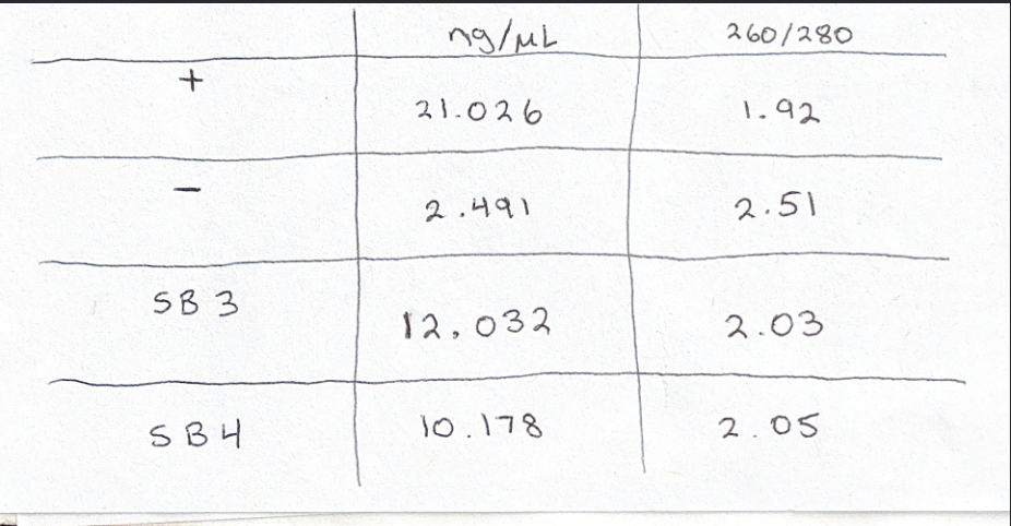 SB DNA Isolation Results