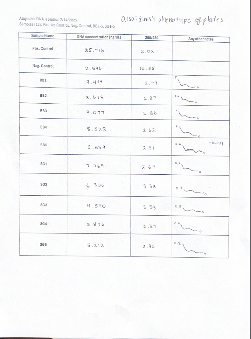 Alaynah's DNA Isolation Results