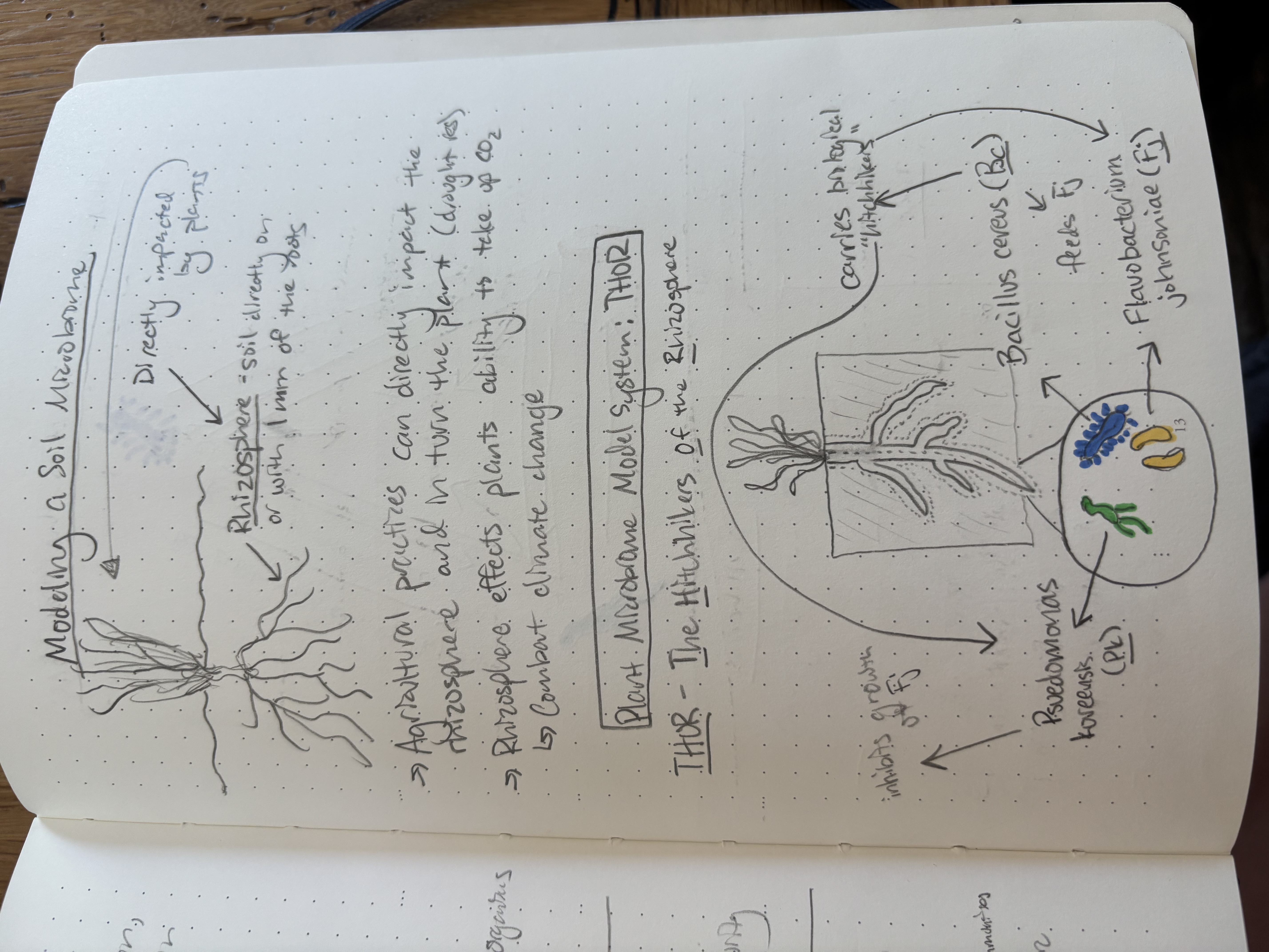 Alex's Notebook 1