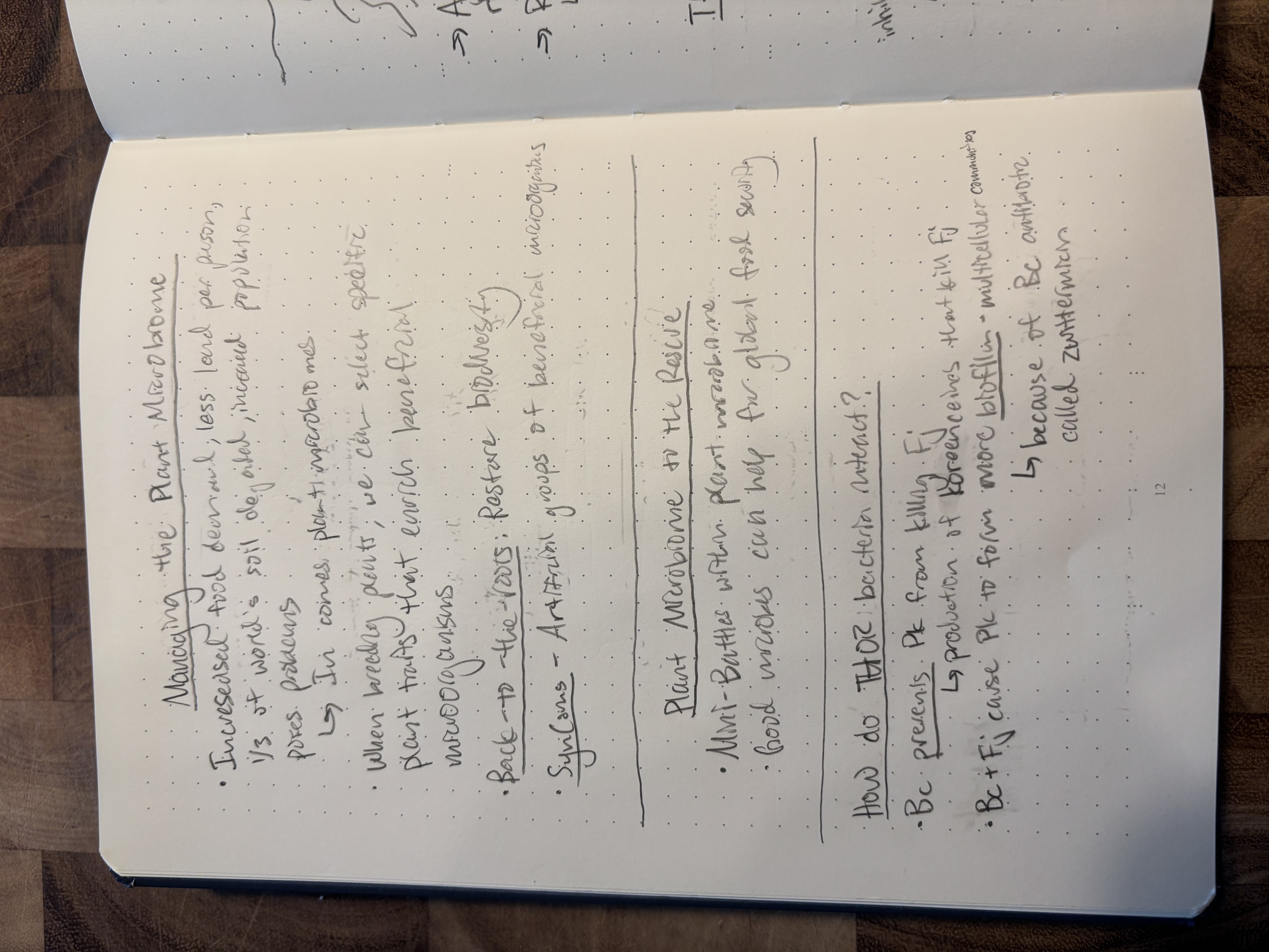 Alex's Notebook 3