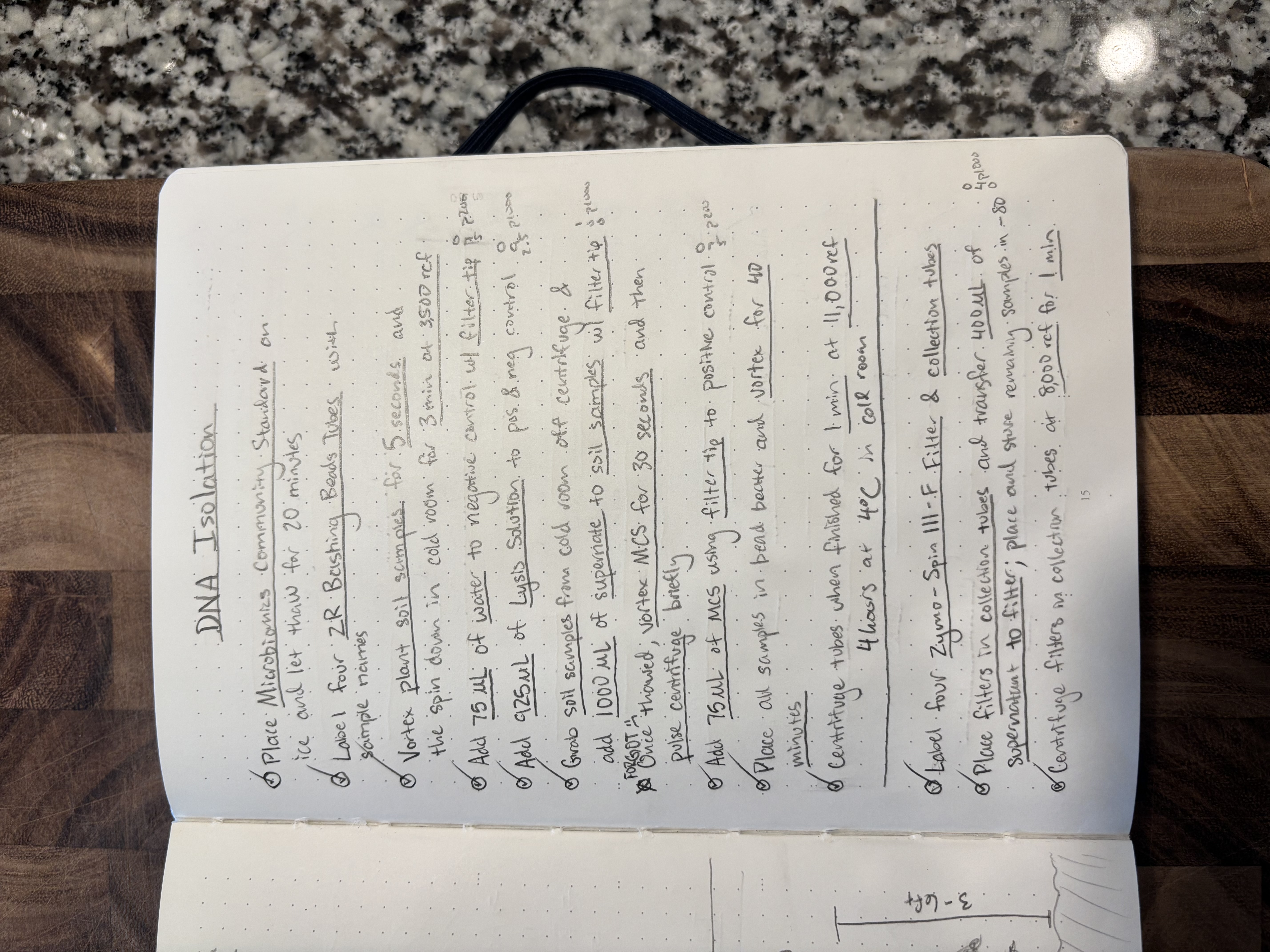Alex's Notebook 4