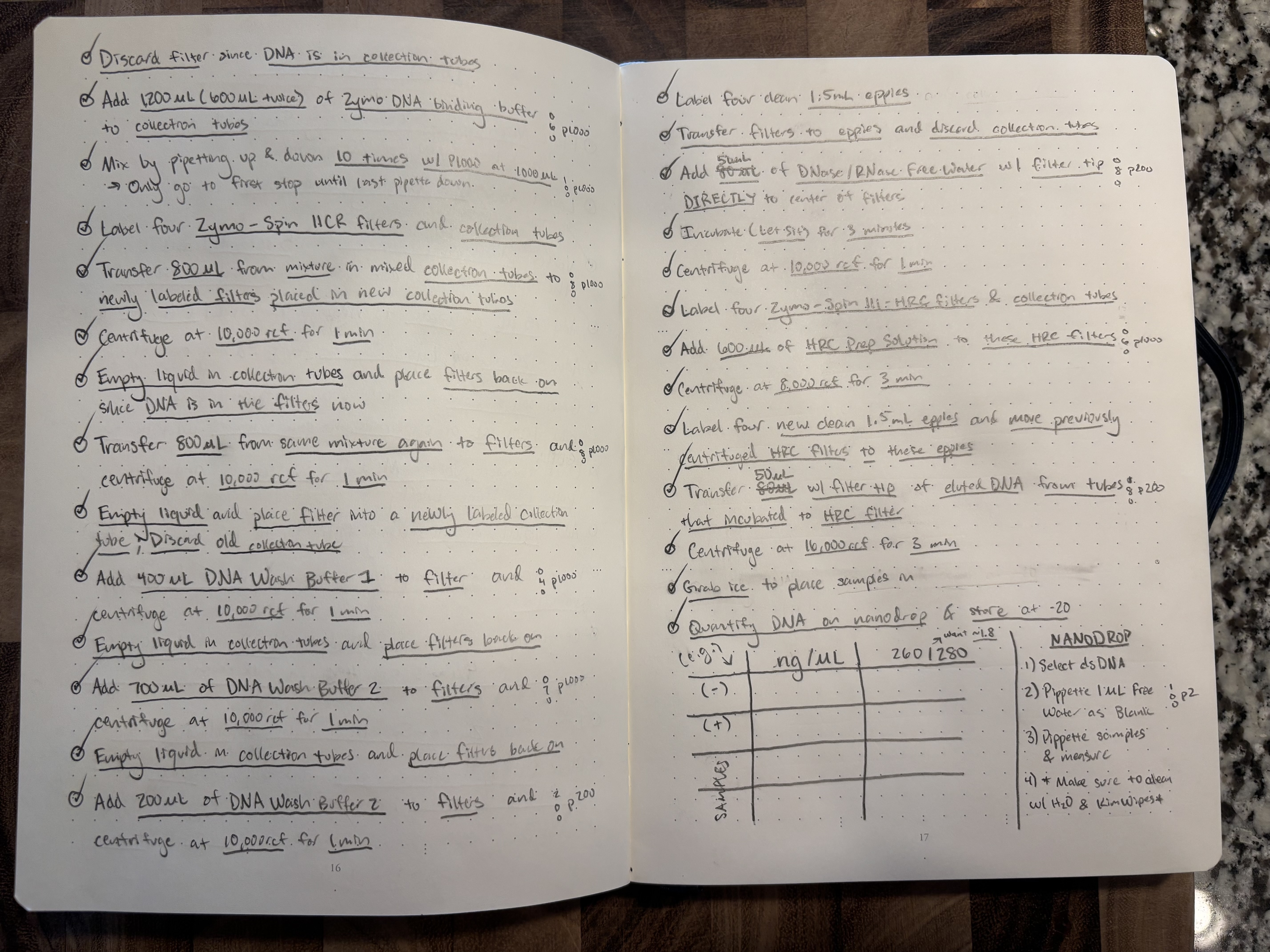 Alex's Notebook 5