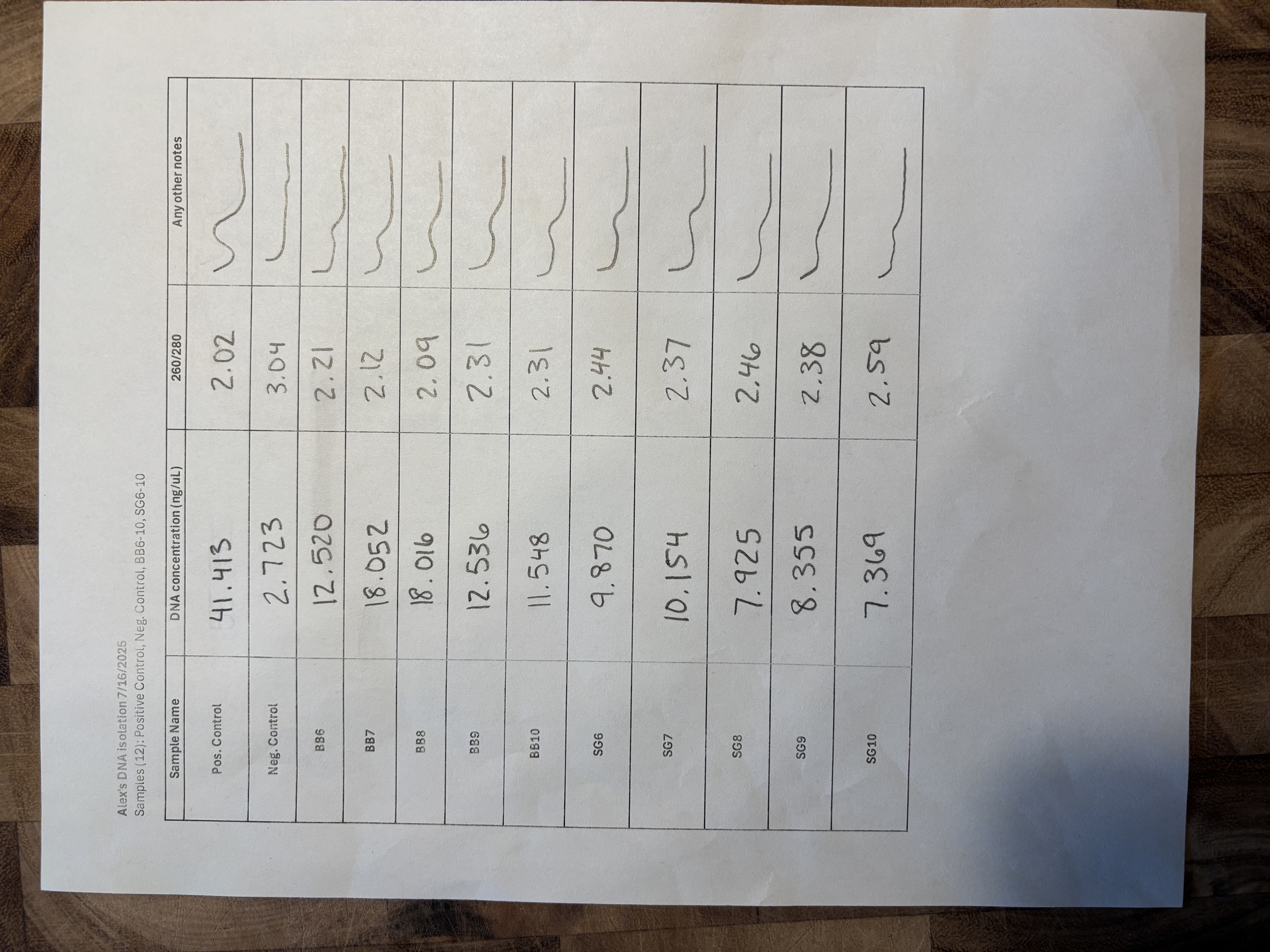 Alex's DNA Isolation Results