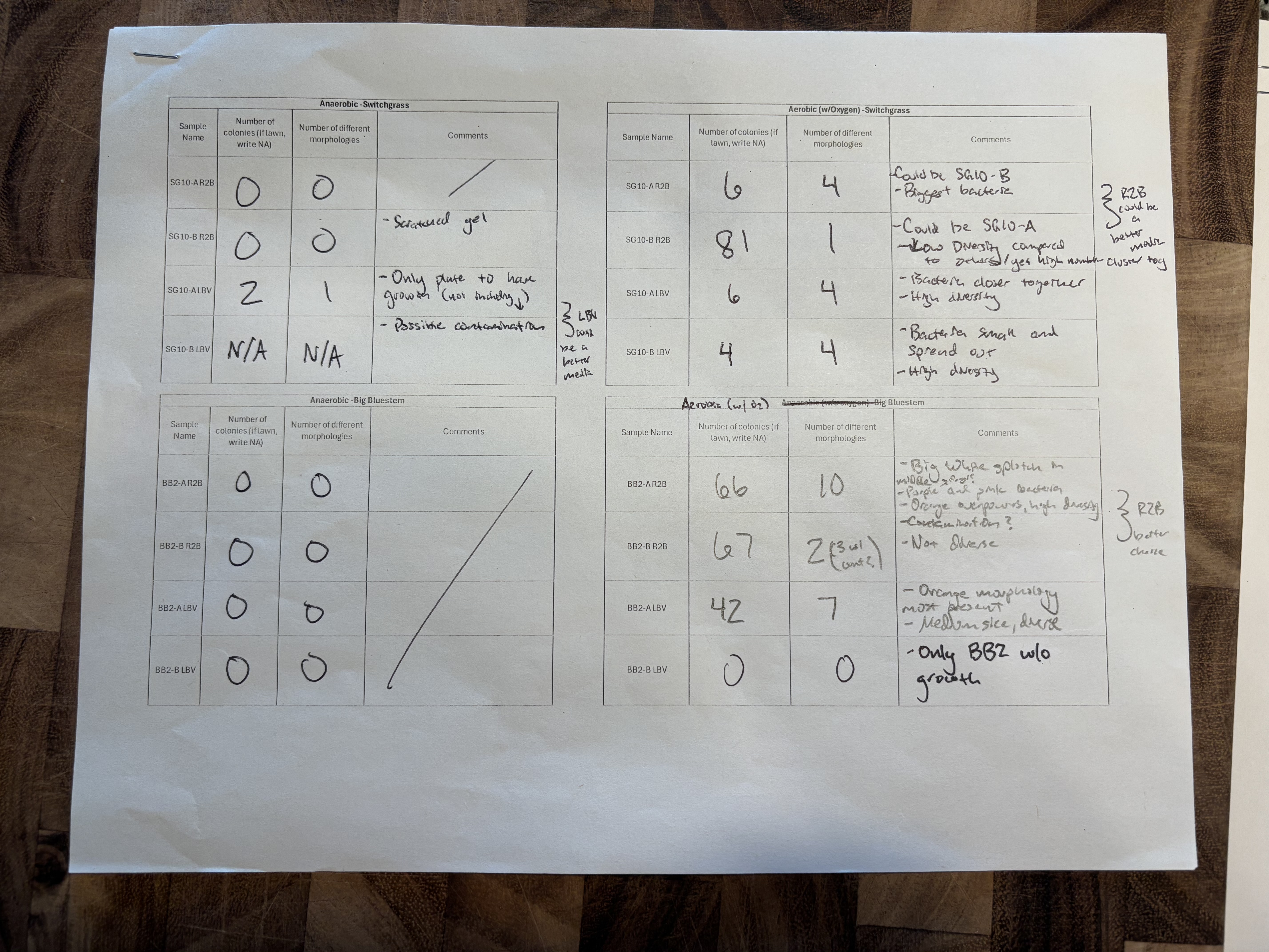 Alex's Bacteria Observations SG:BB