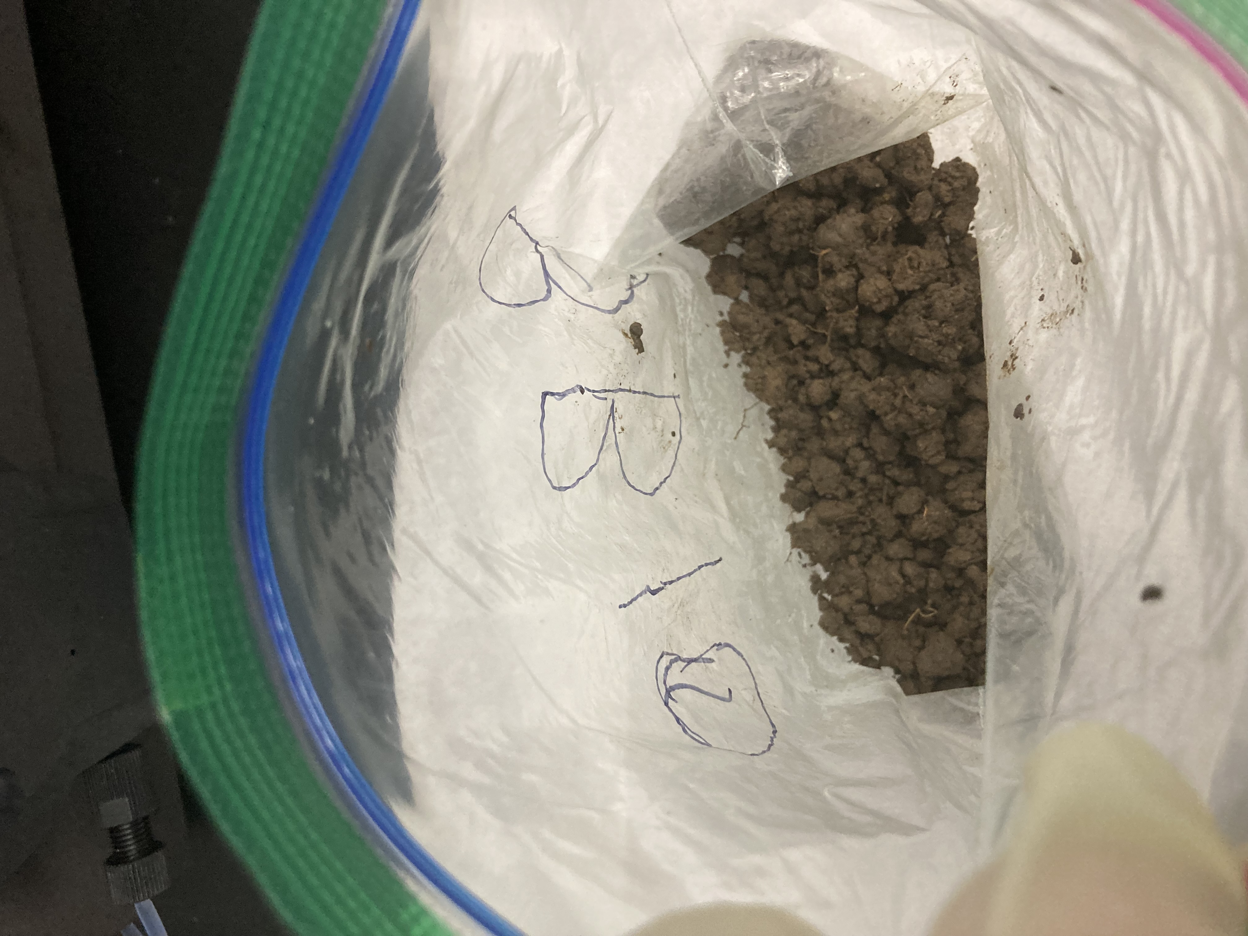 BB10 Soil Sample