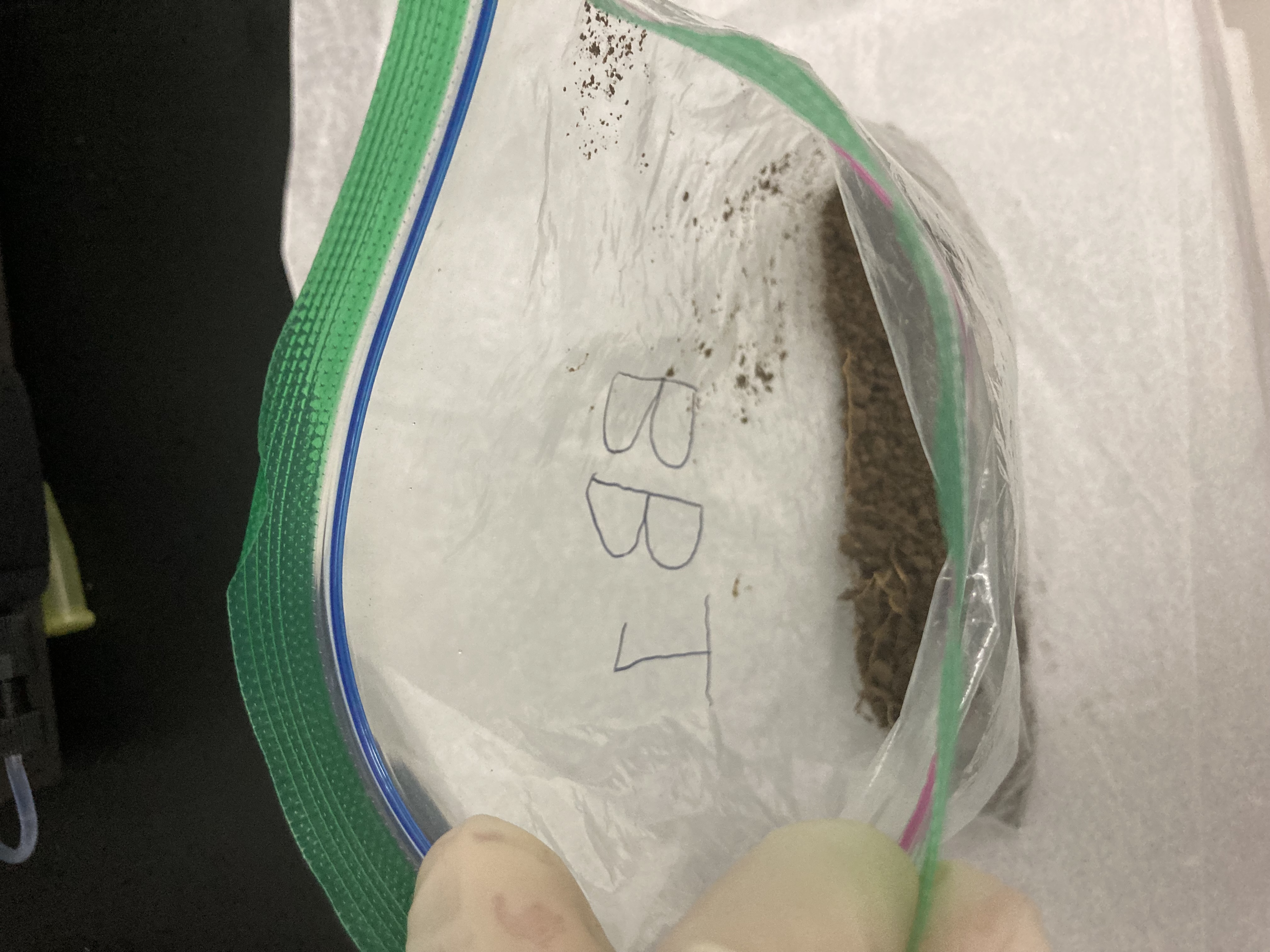 BB1 Soil Sample