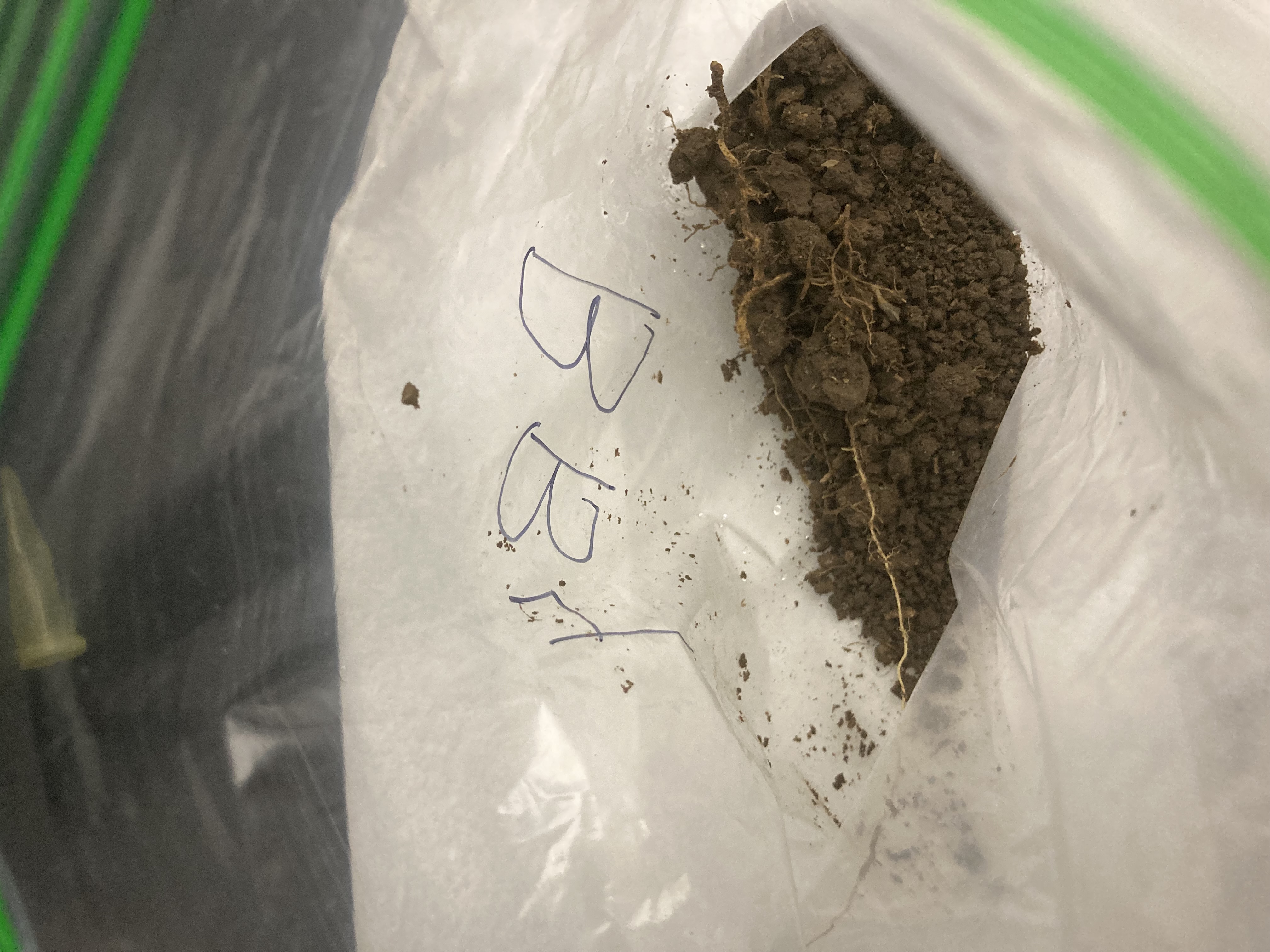 BB4 Soil Sample
