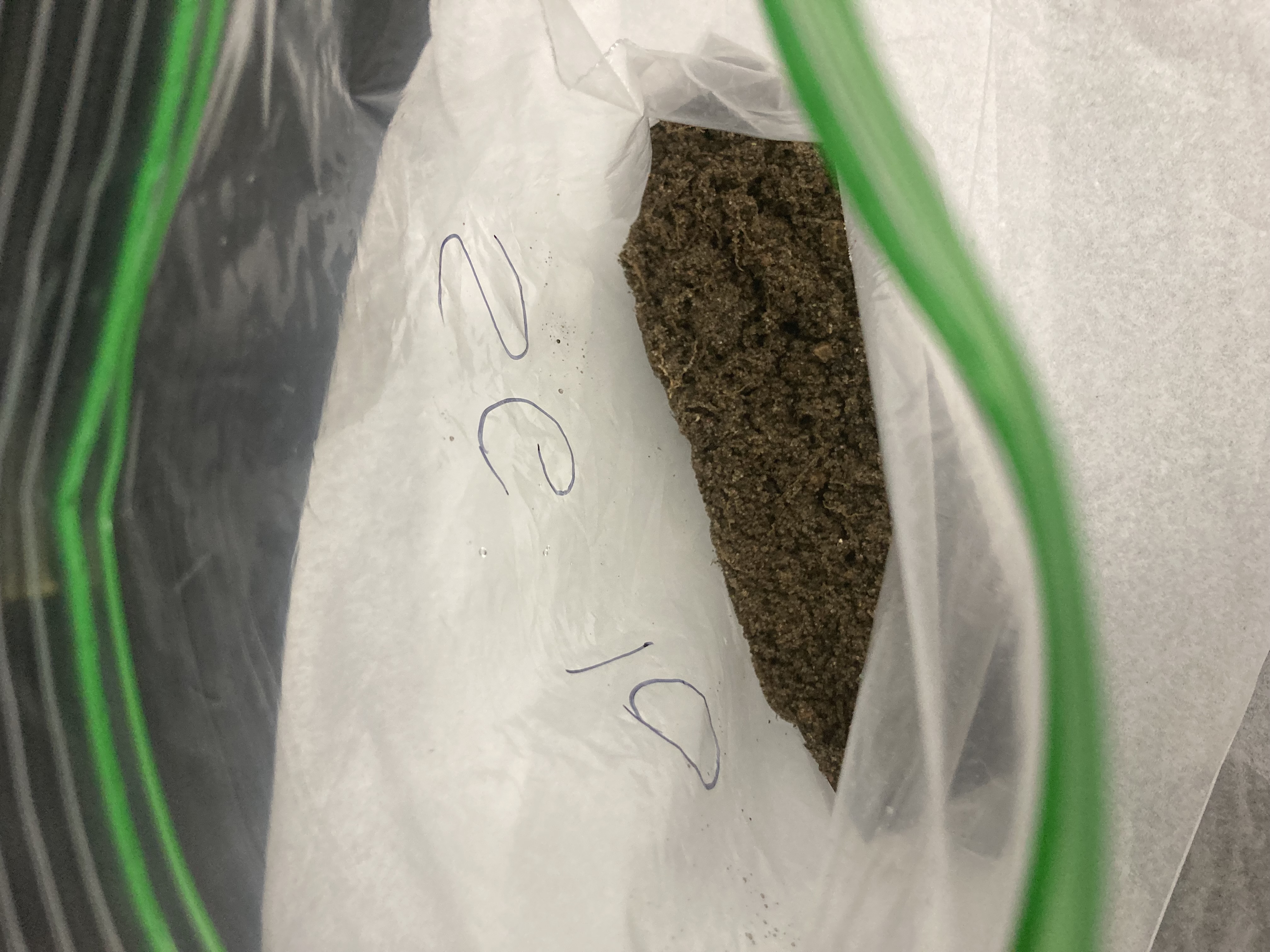 SG10 Soil Sample