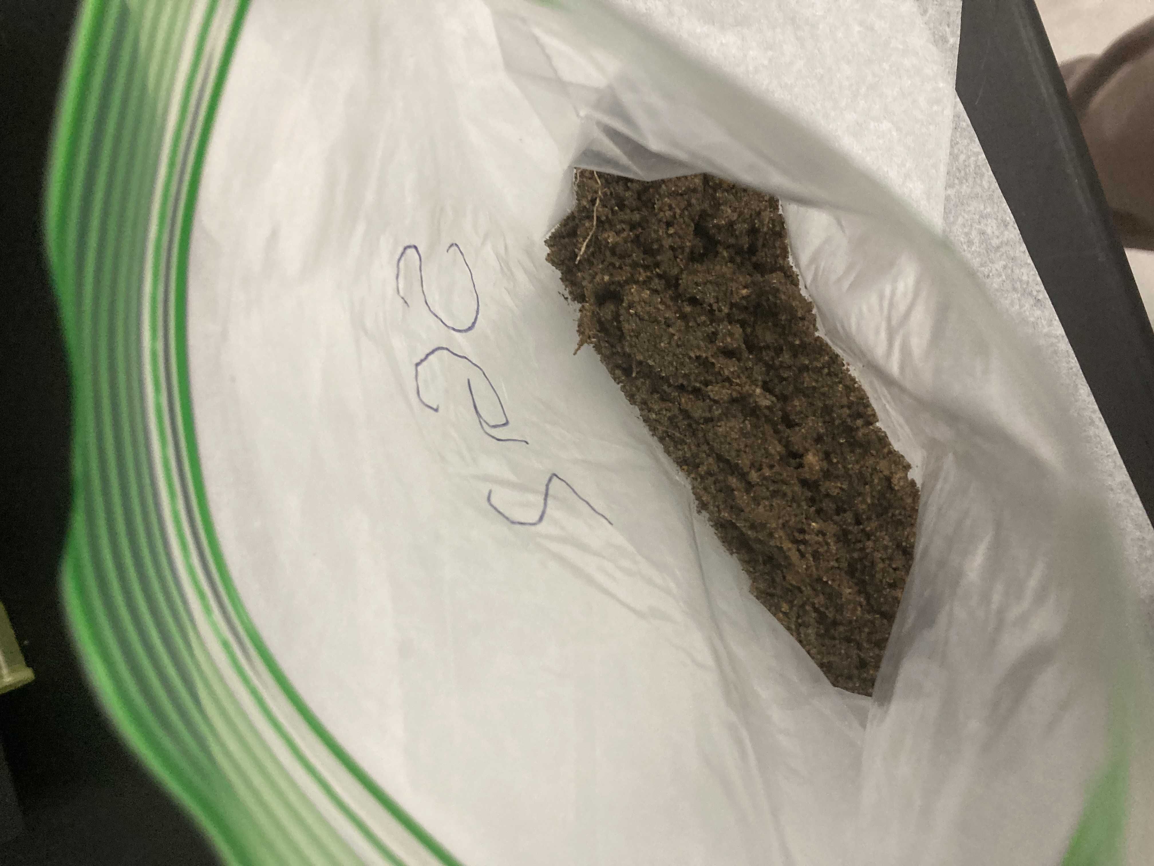 SG2 Soil Sample