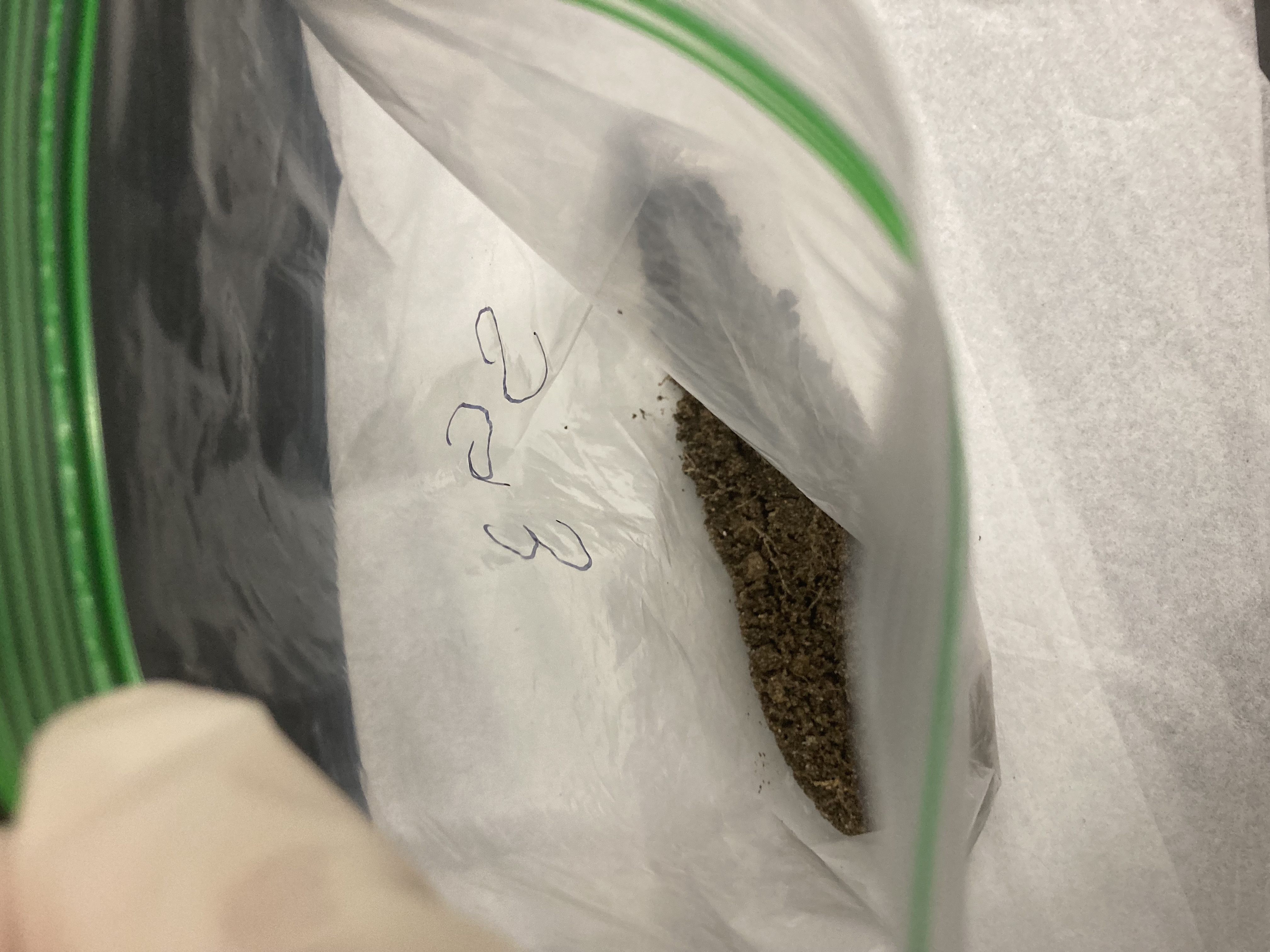 SG3 Soil Sample