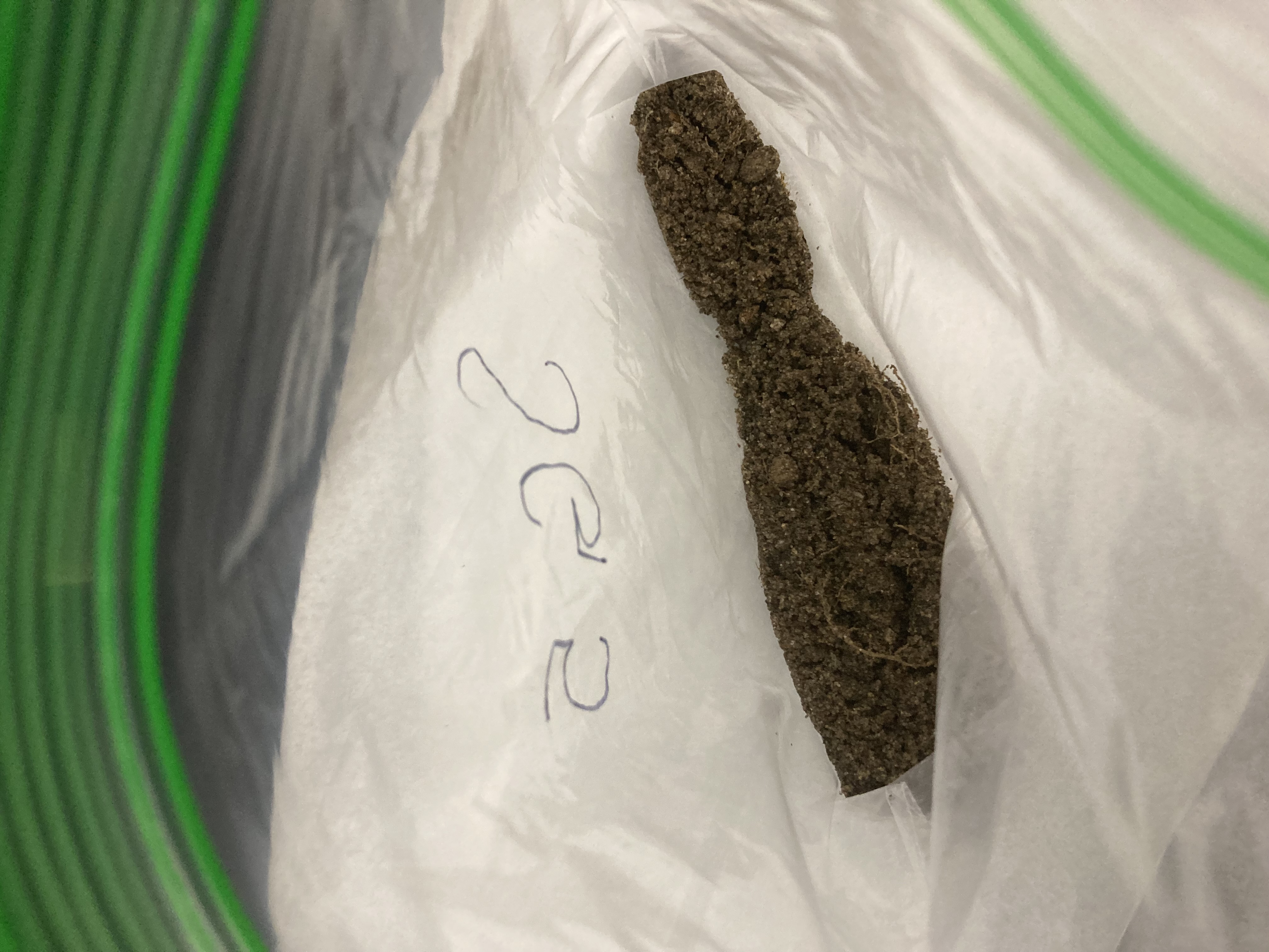 SG5 Soil Sample