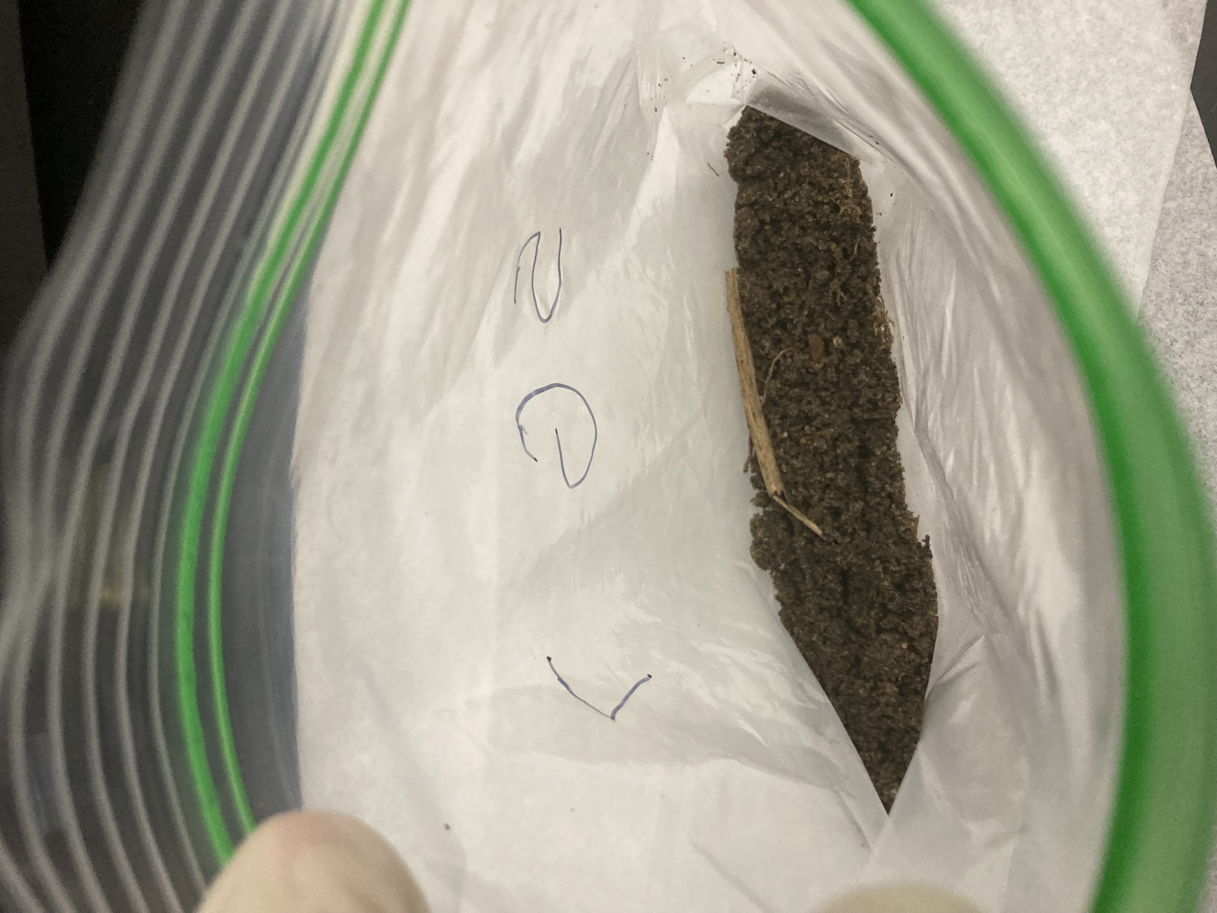 SG7 Soil Sample