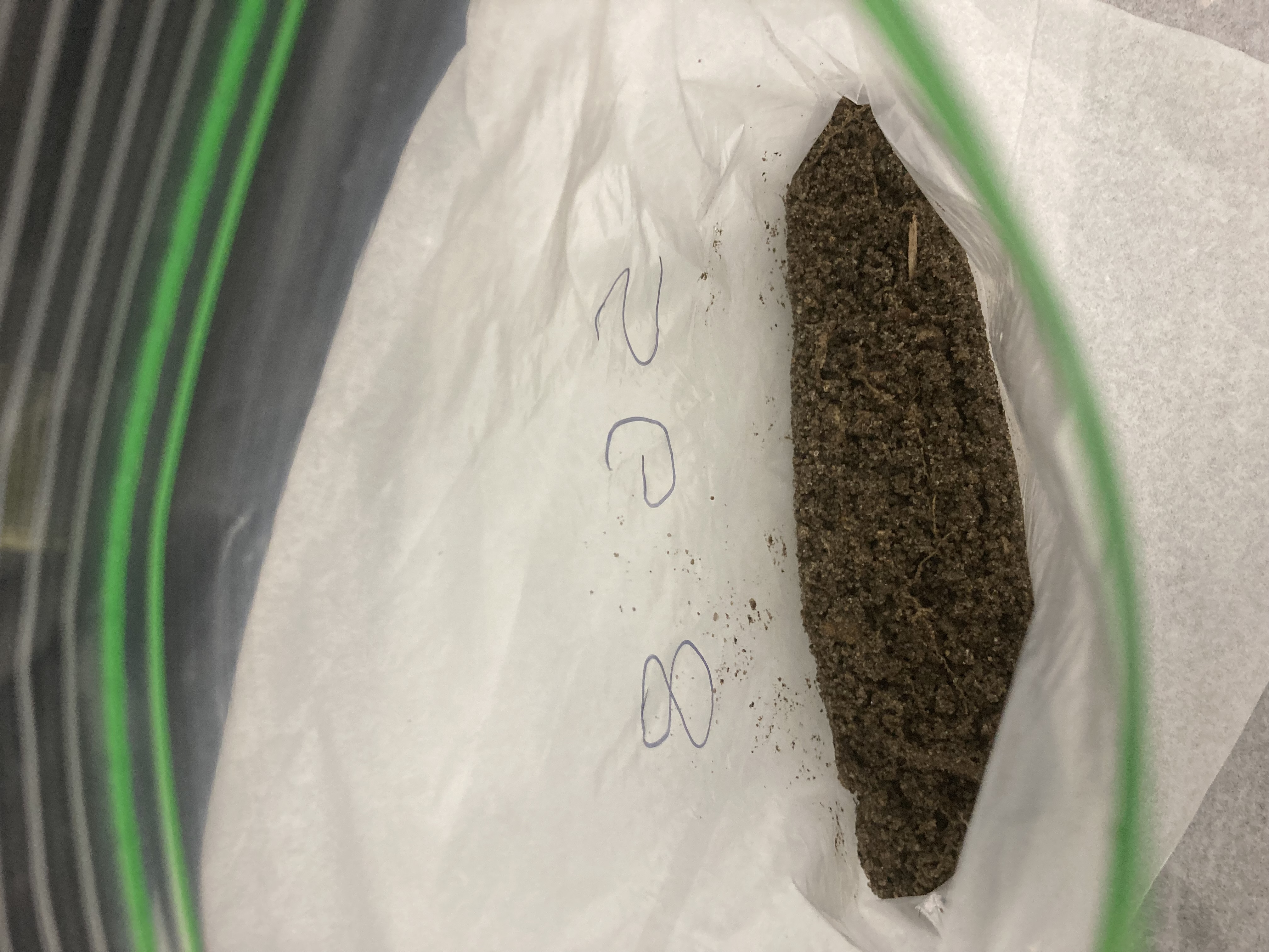 SG8 Soil Sample
