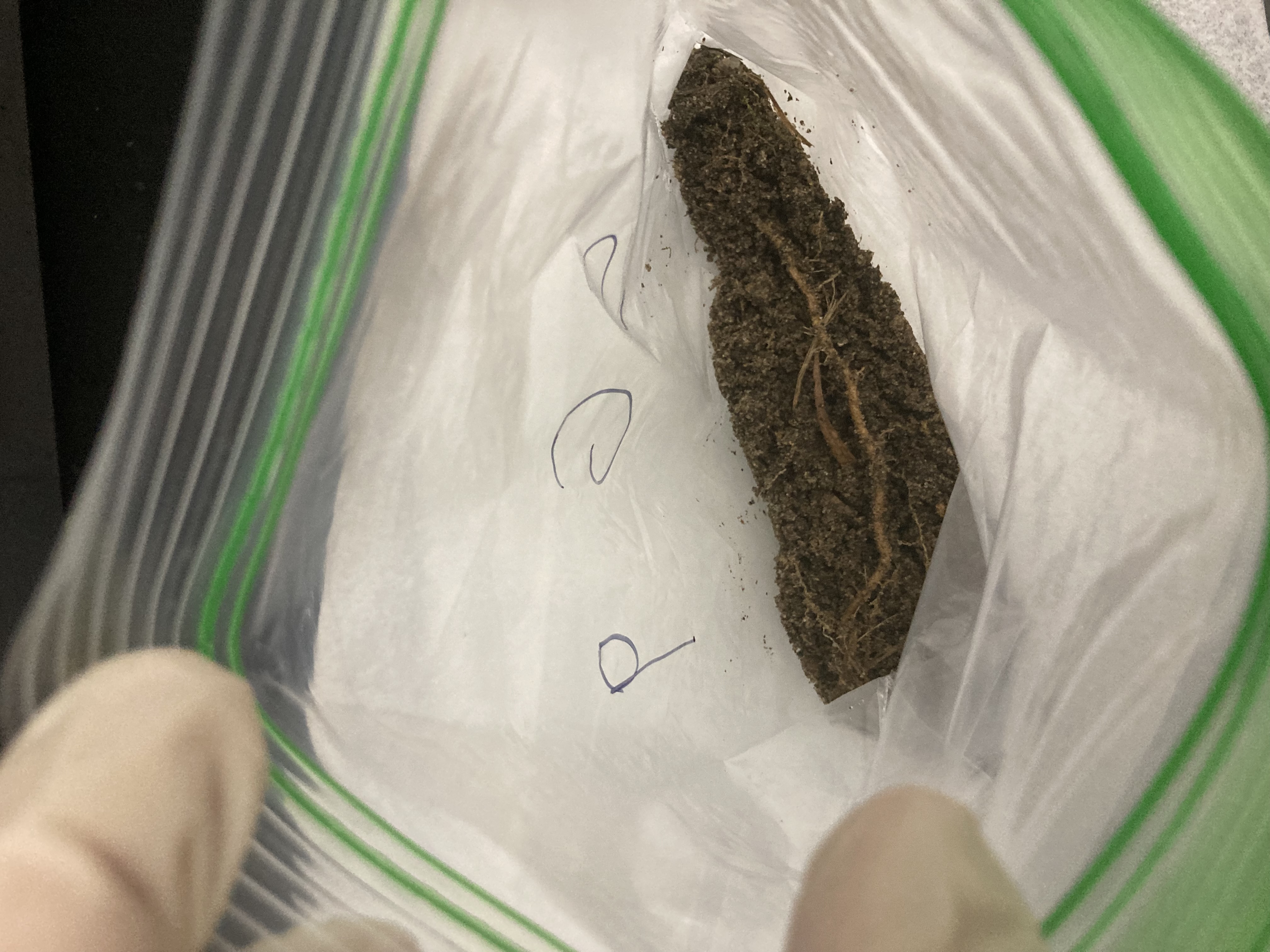 SG9 Soil Sample